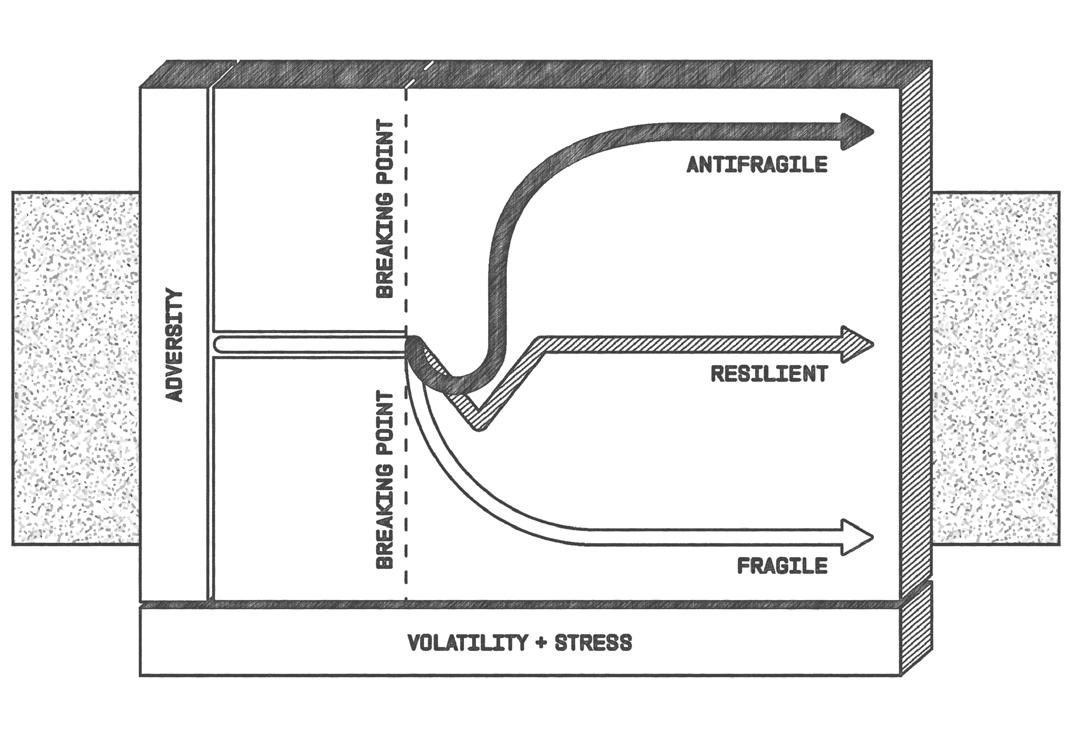 FF_Newsletter_Body_Graphics_Issue_3.30 [Antifragility]
